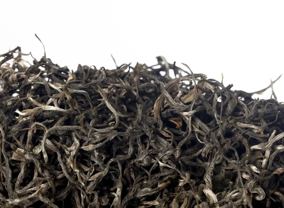 Fengqing Sheng Mao Cha 2021: Puer di Alta Montagna Raccolto di Primavera