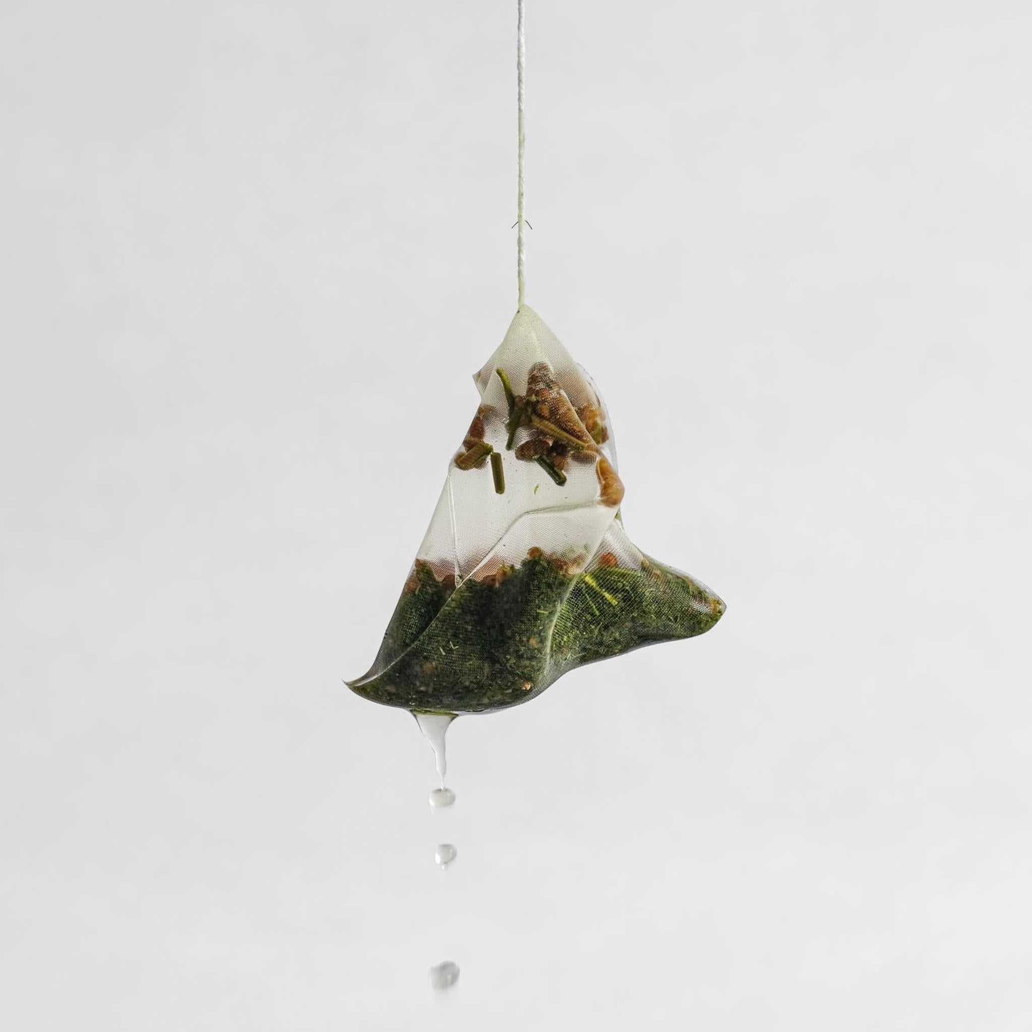 Genmaimatcha Tea Bag | Individually Wrapped Sachet