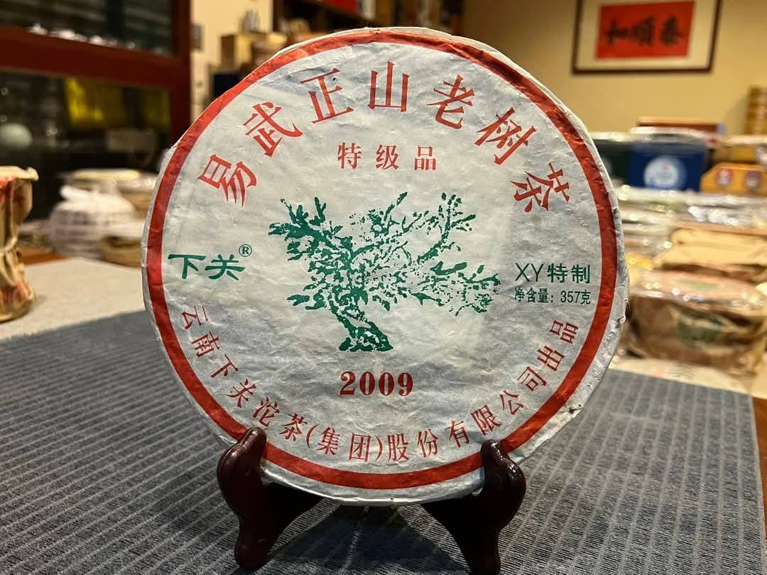 2009 Xiaguan Yiwu "Big Green Tree" Iron Cake