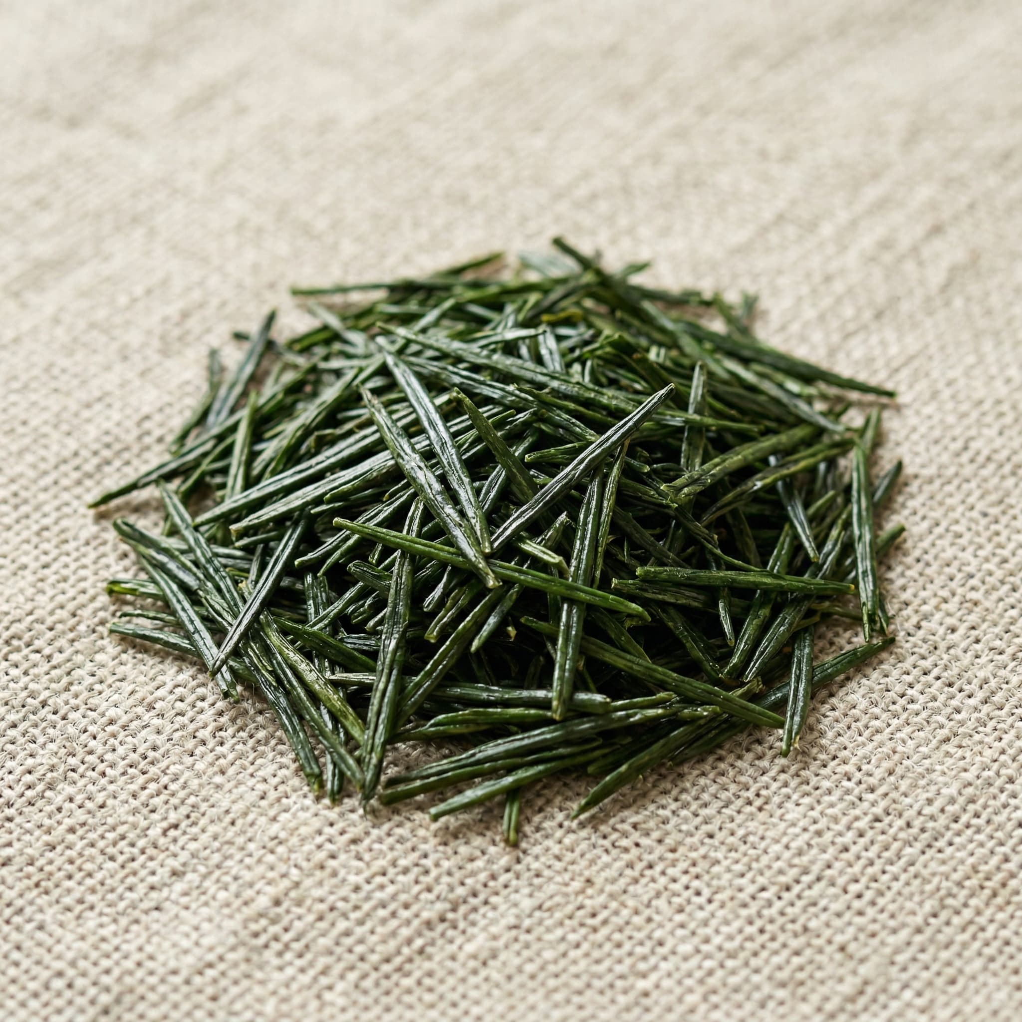 Houjicha Tea Bag Box - 6pk Case